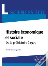 Histoire Économique Et Sociale ; De La Préhistoire À 1975 ; Licence Sciences Économique
