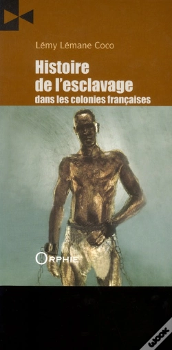 Capa do artigo Histoire Esclavage Colonies Francaises