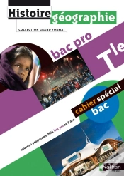 Capa do artigo Histoire-Geographie Terminale Bac Pro (Grand Format) Eleve 2011