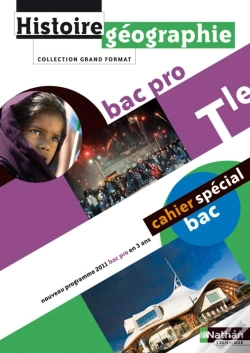 Capa do artigo Histoire-Geographie Terminale Bac Pro (Grand Format) Eleve 2011