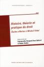 Histoire Theorie Et Pratique Du Droit - Preview