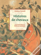 Histoires De Chevaux