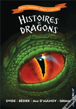 Capa do artigo Histoires De Dragons