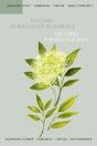 Histoires De Racines Et De Rameaux - Preview