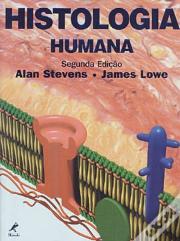 Histologia Humana
