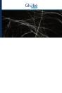 Histologie Speciala - Preview