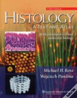 Capa do artigo Histology