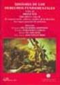 Historia De Los Derechos Fundamentales. Tomo Iii. Siglo Xix. Volumen I. El Contexto Social, Cultural - Preview