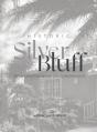 Historic Silver Bluff - Preview