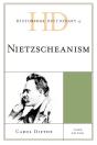 Historical Dictionary Of Nietzscheanism - Preview