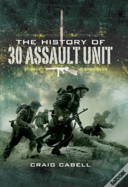Capa do artigo History Of 30 Assault Unit