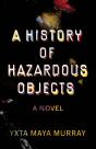 History Of Hazardous Objects - Preview