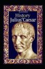 History Of Julius Caesar Illustrated - Preview