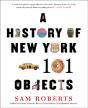History Of New York In 101 Objects - Preview