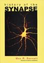 History Of The Synapse - Preview
