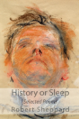 History Or Sleep - Selected Poems - Preview