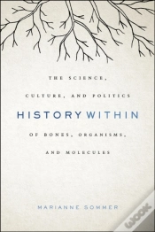 Capa do artigo History Within