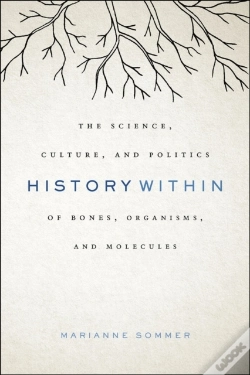 Capa do artigo History Within