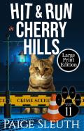 Hit And Run In Cherry Hills