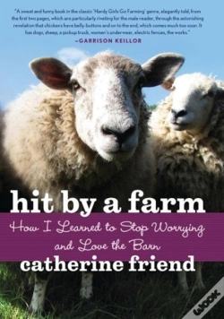 Capa do artigo Hit By A Farm