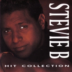 Capa do artigo Hit Collection - Vinil