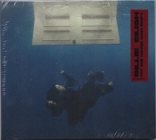 Capa do artigo Hit Me Hard And Soft - CD