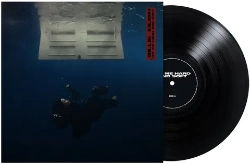 Capa do artigo HIT ME HARD and SOFT (Recycled Black Vinyl Gatefold) - Vinil