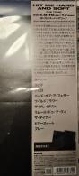Hit Me Hard And Soft - Vinil - Preview