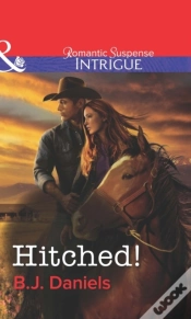 Capa do artigo Hitched!