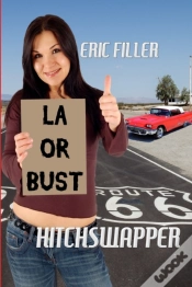 Capa do artigo Hitchswapper