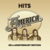 Capa do artigo Hits - Vinil