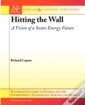Capa do artigo Hitting The Wall