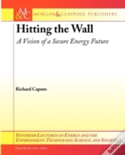 Capa do artigo Hitting The Wall