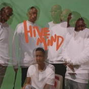 Capa do artigo Hive Mind - Vinil