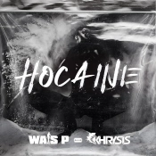 Capa do artigo Hocaine - Vinil