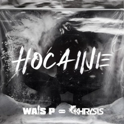 Capa do artigo Hocaine - Vinil