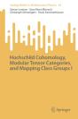 Hochschild Cohomology, Modular Tensor Categories, And Mapping Class Groups I - Preview