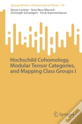 Hochschild Cohomology, Modular Tensor Categories, And Mapping Class Groups I