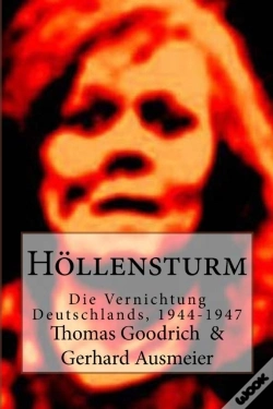 Capa do artigo Hoellensturm