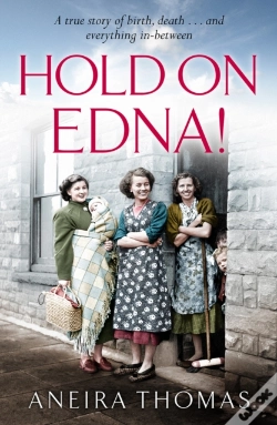 Capa do artigo Hold On, Edna!