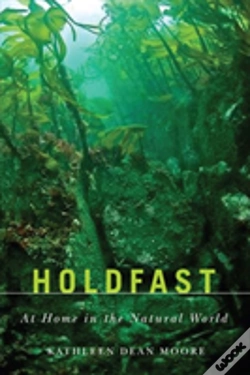 Capa do artigo Holdfast