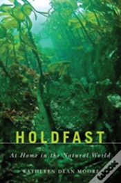 Capa do artigo Holdfast