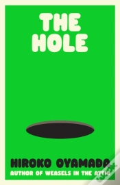 Capa do artigo Hole