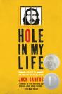 Hole In My Life - Preview