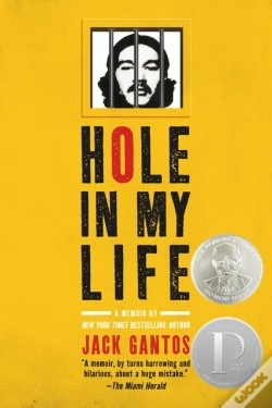 Capa do artigo Hole In My Life