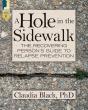 Hole In The Sidewalk - Preview