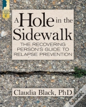 Capa do artigo Hole In The Sidewalk