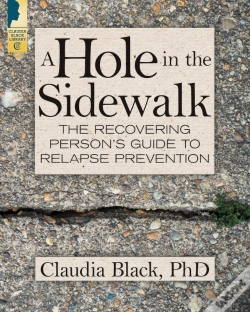 Capa do artigo Hole In The Sidewalk