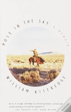 Capa do artigo Hole In The Sky