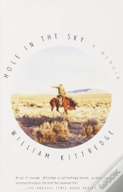 Capa do artigo Hole In The Sky
